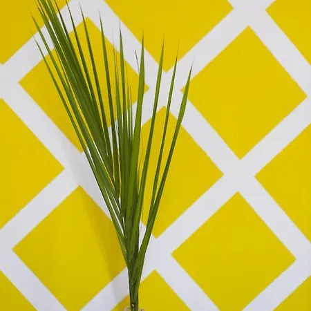 Meet Gardalake Peschiera del Garda